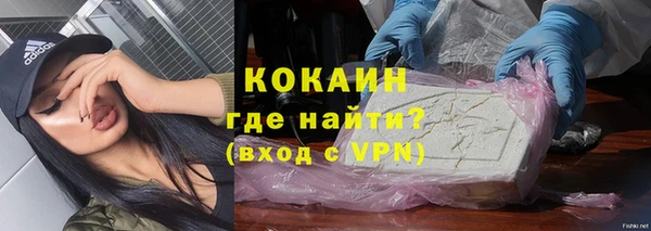 крисы Абаза