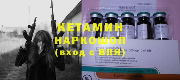 крисы Абаза