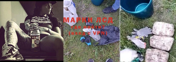 крисы Абаза